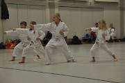 2014_12-karateprufung_-16.jpg